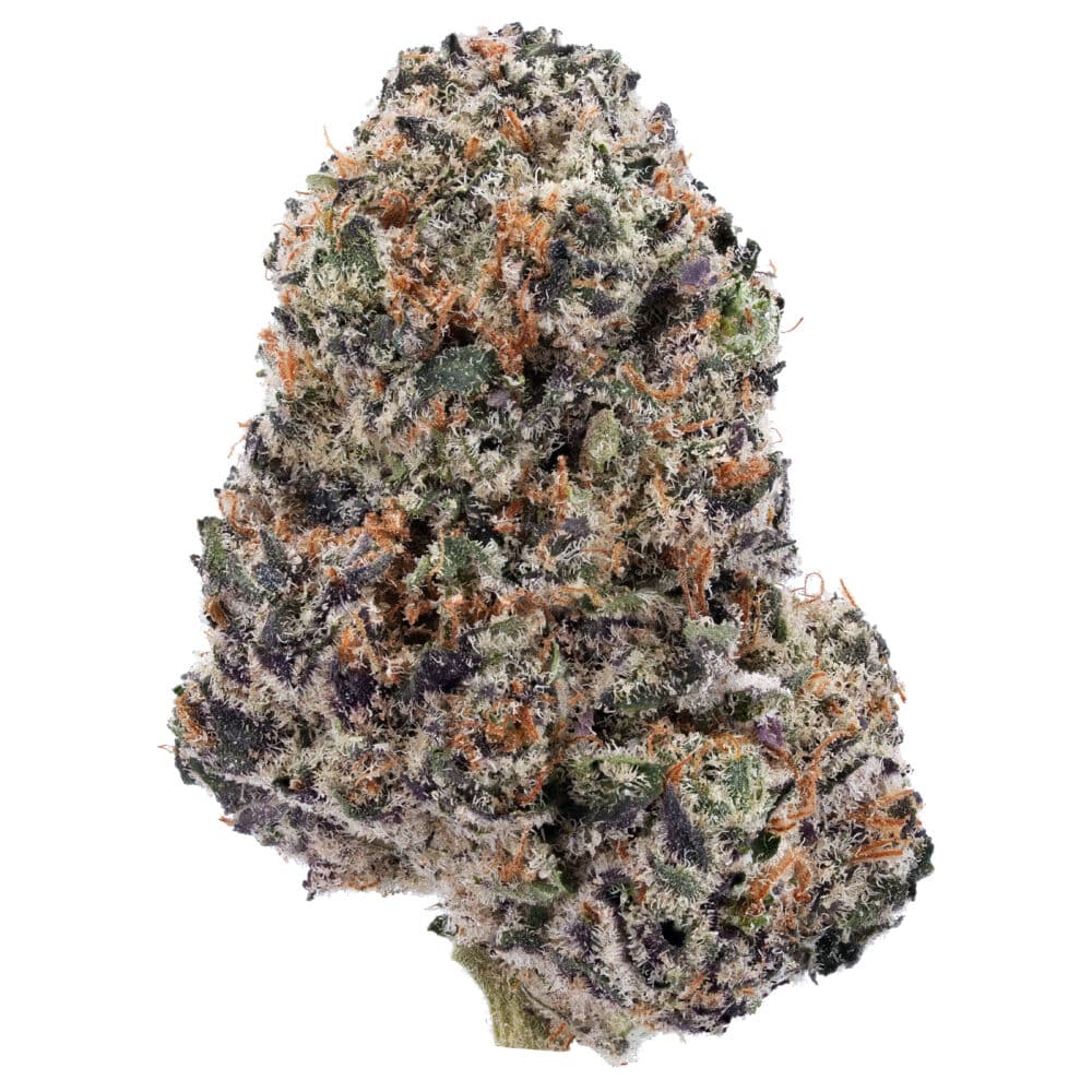 Gelato Punch - Hybrid